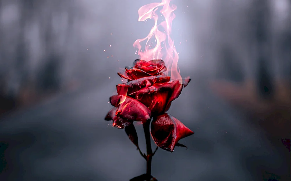 Fantasievolle Blumen