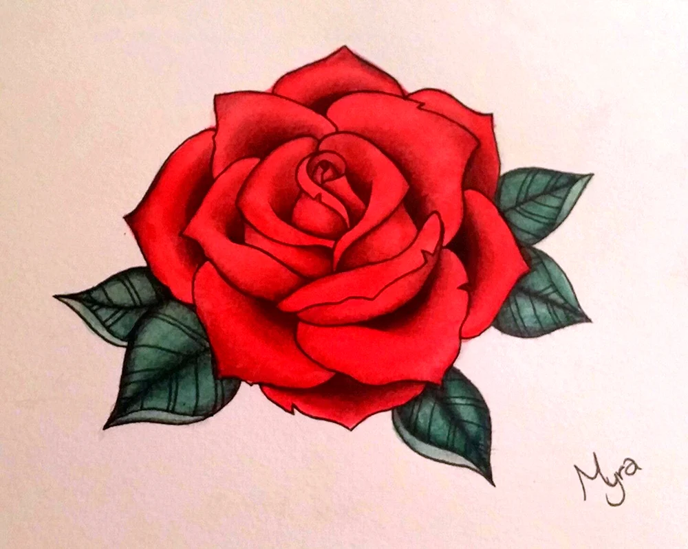 Rosen zeichnen mit Bleistift