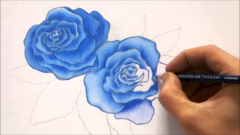 Blumen zeichnen mit Bleistift