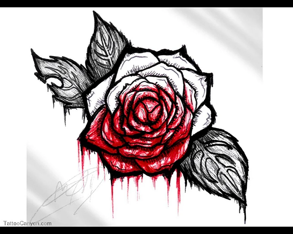 Blumen zeichnen mit Bleistift