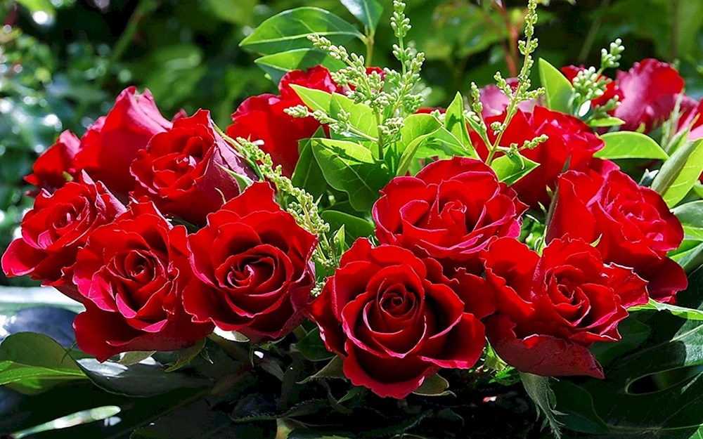 Rose Salma