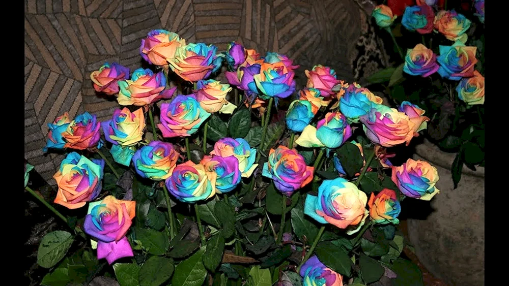 Osiria-Rose