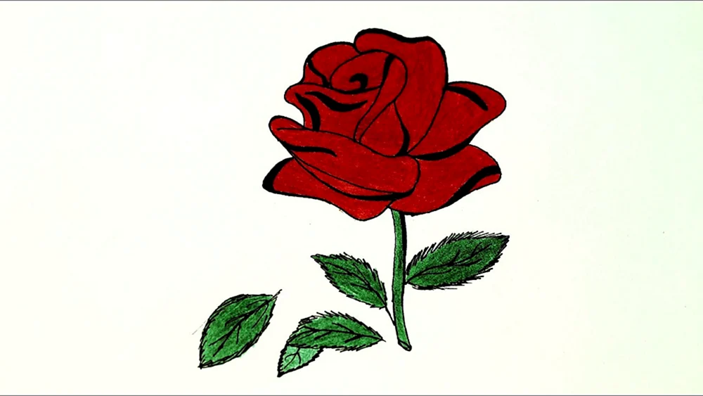 Blumen zeichnen mit Bleistift