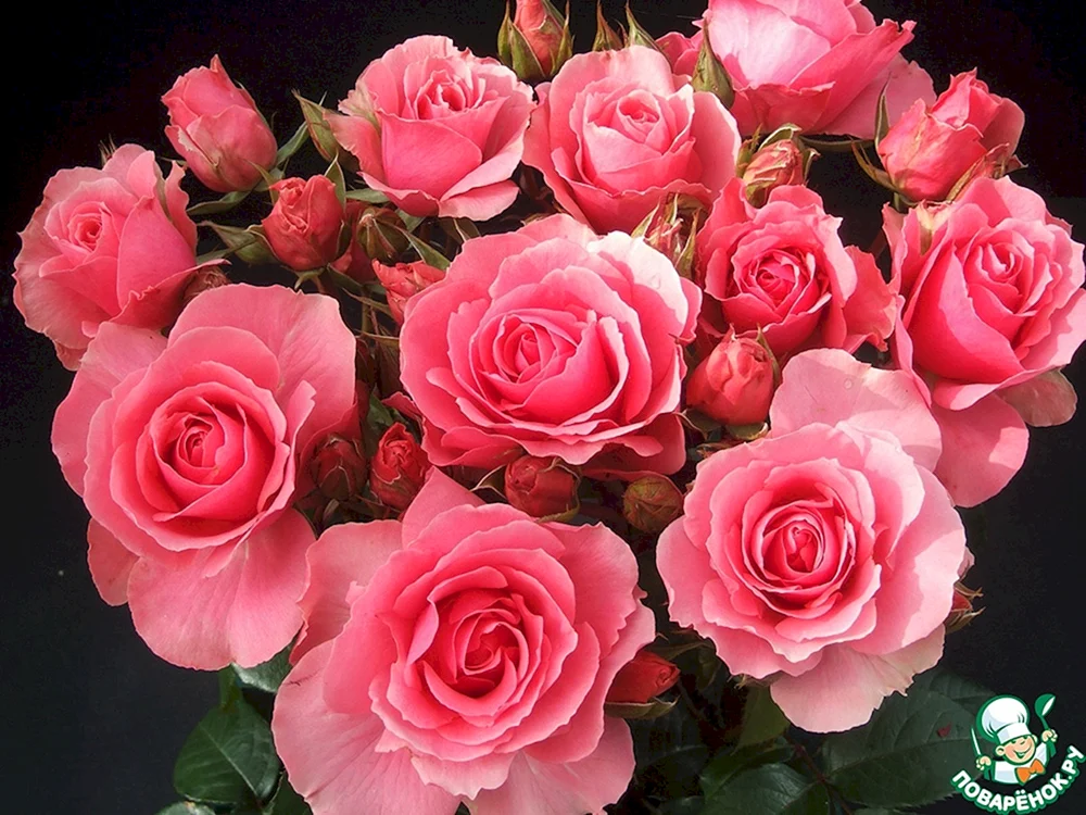Schöne Blumen.