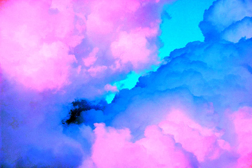 Rosa Himmel