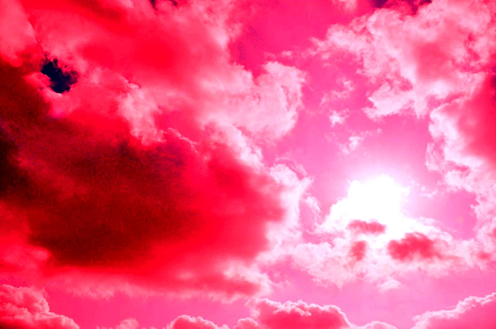 Pink Girl Anime