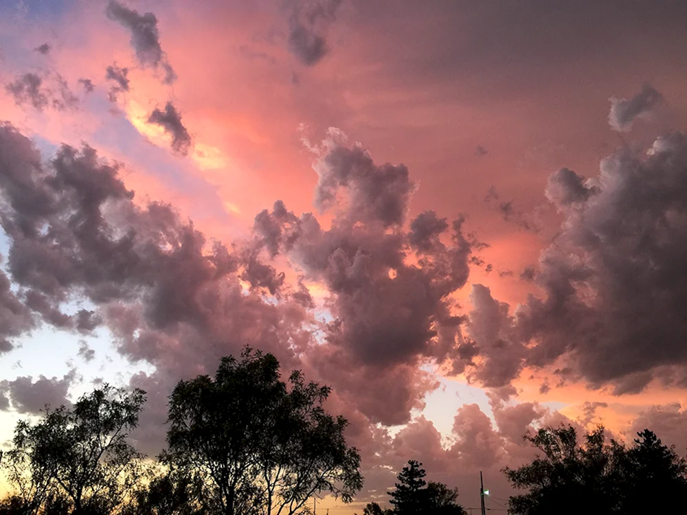 Pink Cloud