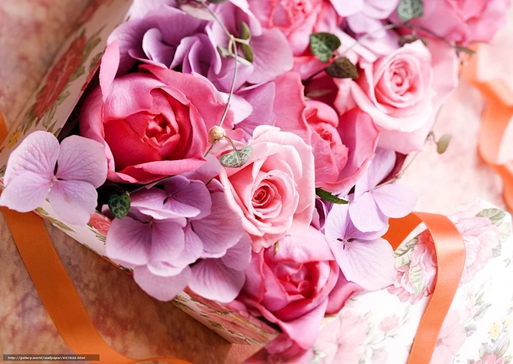 Rosa Strauß