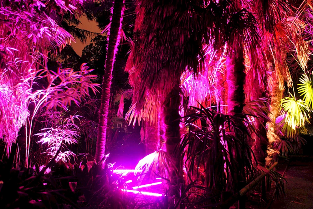 Pinkes Neon