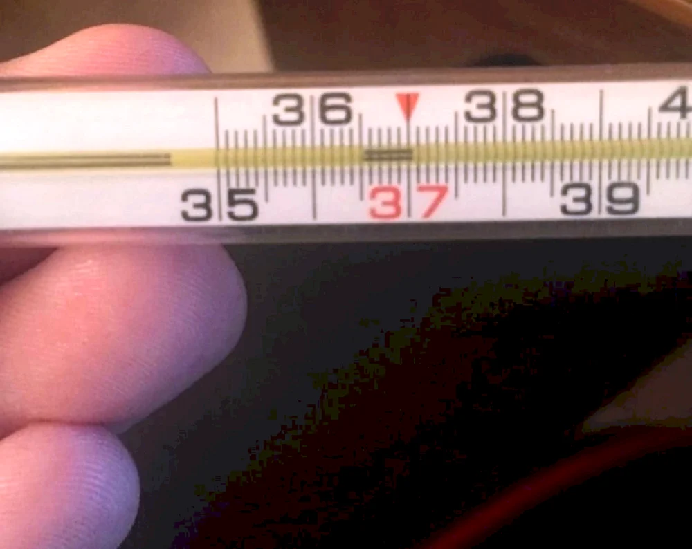 Quecksilberthermometer 38.9