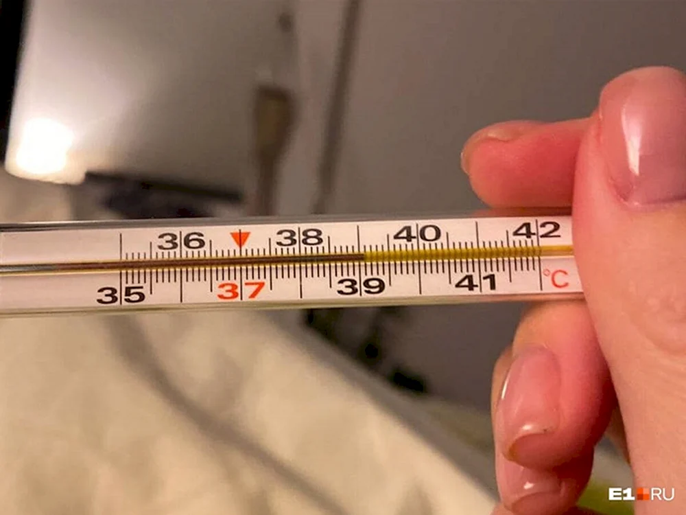 Quecksilberthermometer 38.9