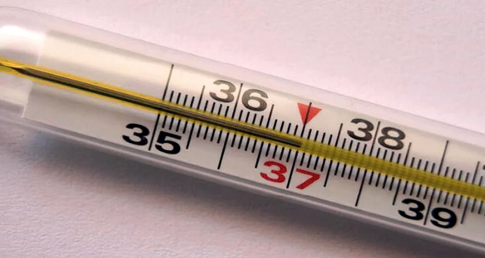 Quecksilberthermometer 38.9