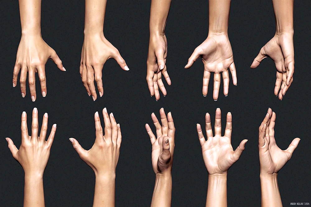 Handreferenz