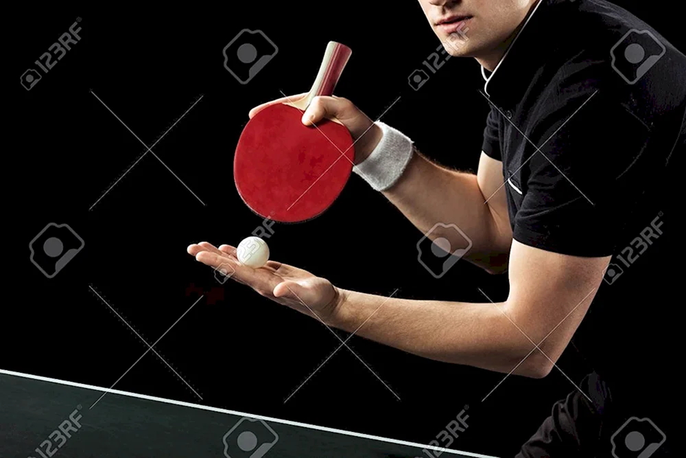 Tennisschläger tisch vektor