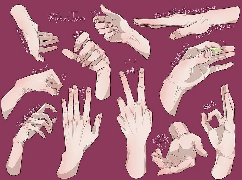 Handreferenz Referenz