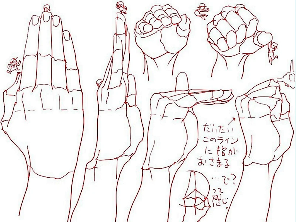 Handanatomie Referenz