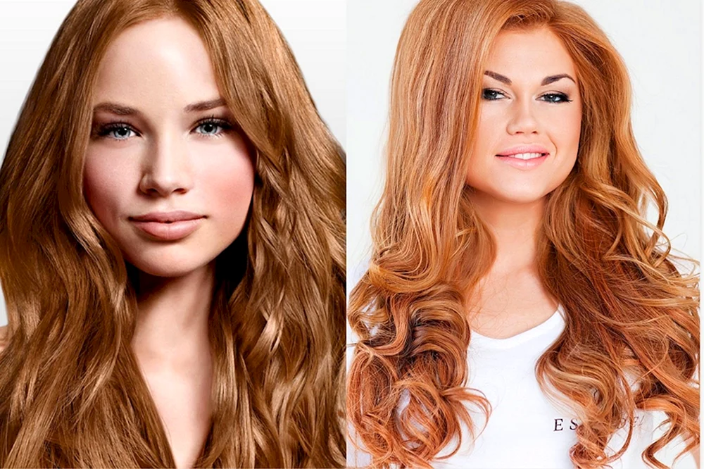Rousseau Honig Haarfarbe