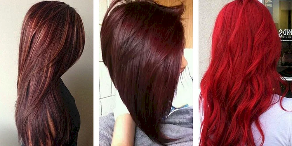 4.5 Biotin