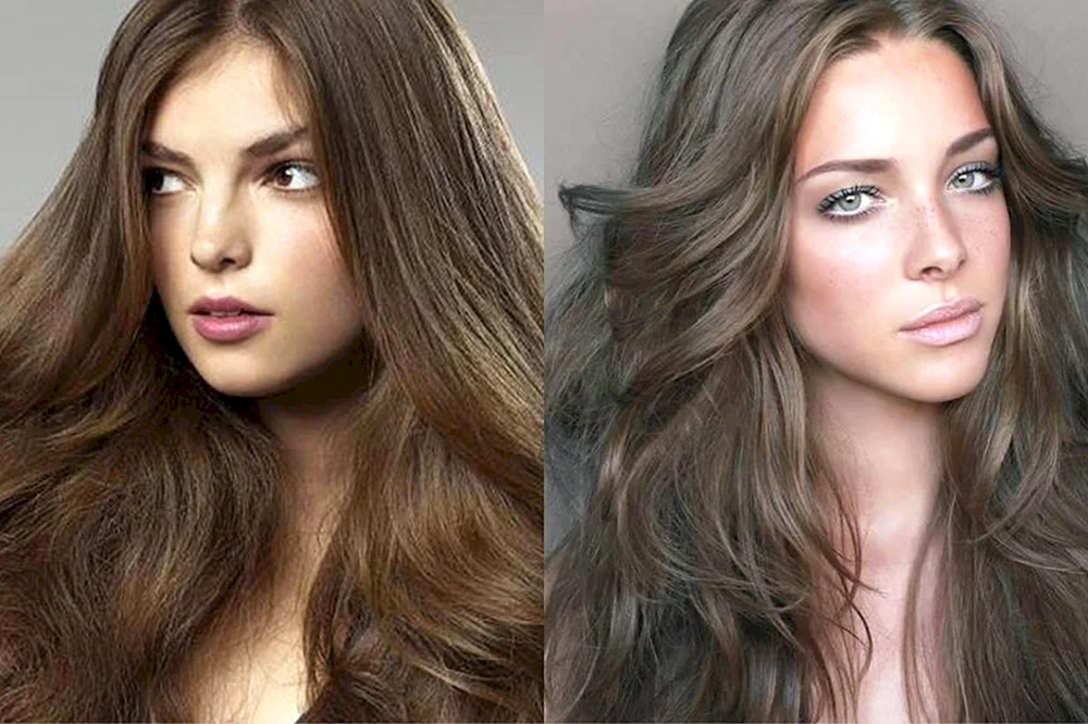 Rousseau Kastanien Asche Haarfarbe Haarfarbe Estel 676 Pepel millerivign Kutrin blonde ash dark Hellblonde ash Haarfarbe Braun und Asche Estel Haarfarbe Silber 571