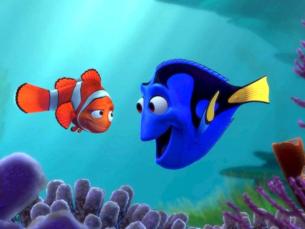 Finde Nemo dory