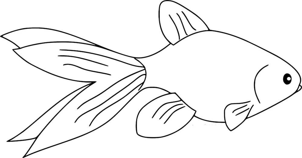 Fischzeichnung zum Ausmalen