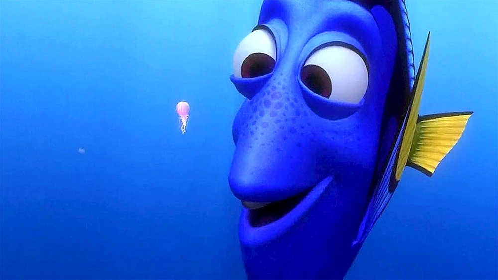 Dory Fisch Dory Fisch Dory dori