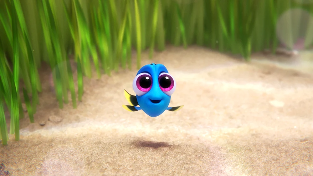 Dori Fisch dori