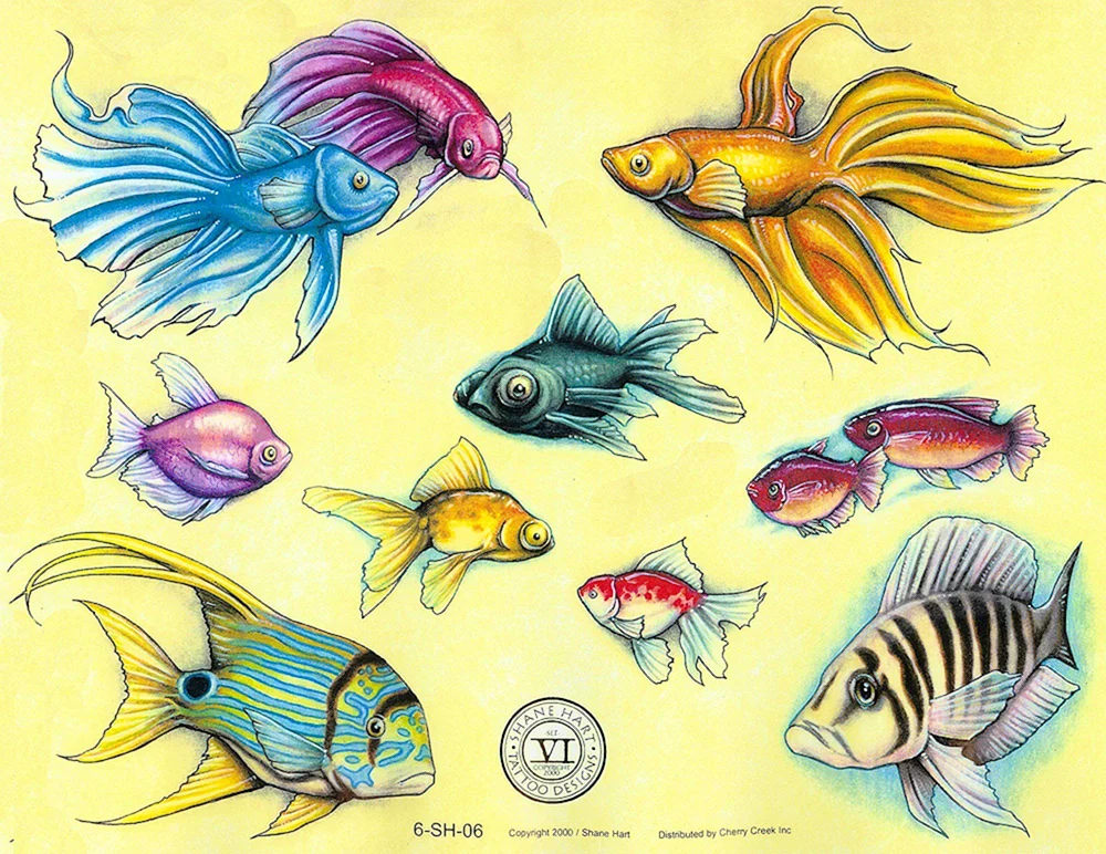 Fischbilder zum Zeichnen