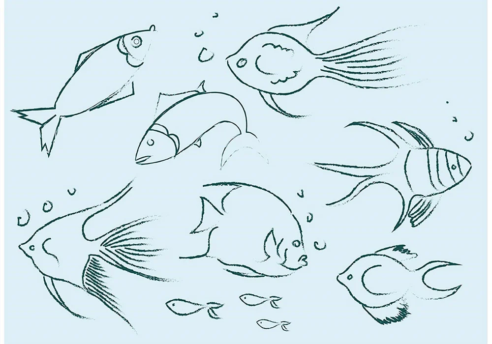 Fischzeichnung