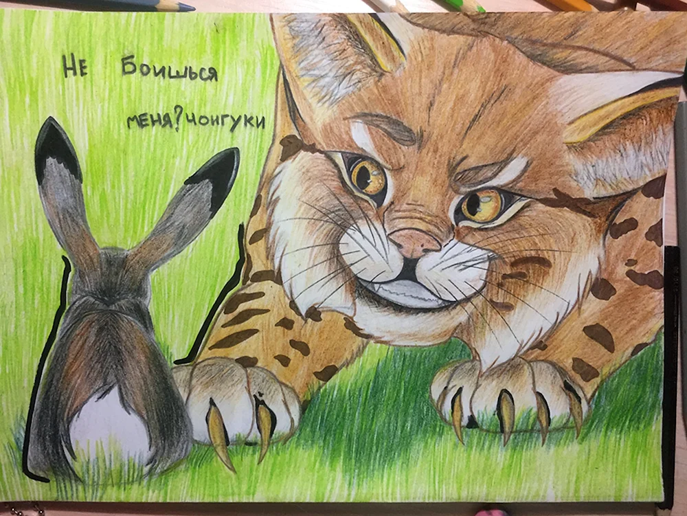 Shelter 2 Lynx mit Luchsen