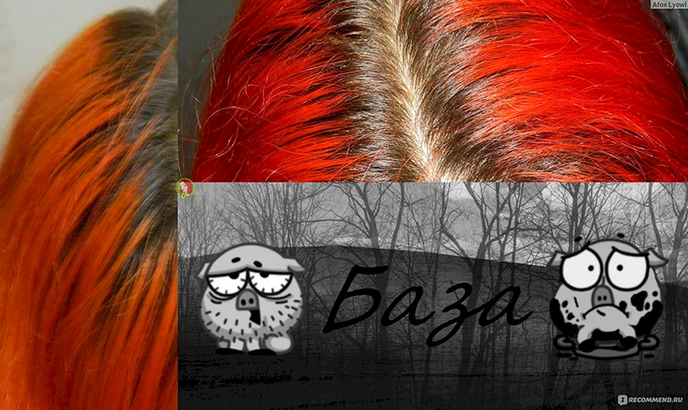 Rot färben ohne Blondierung