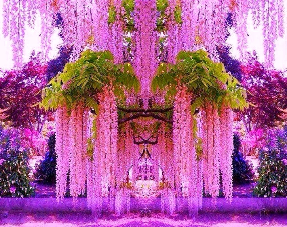 Kawachi Garten Fuji