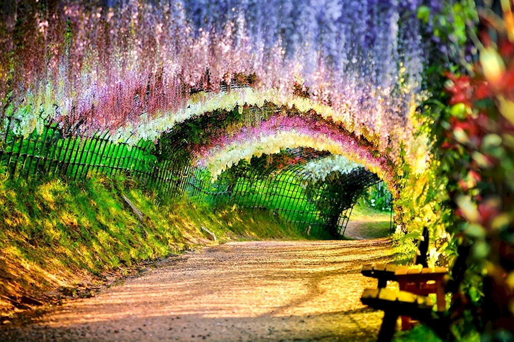 Kawati Fuji Garden
