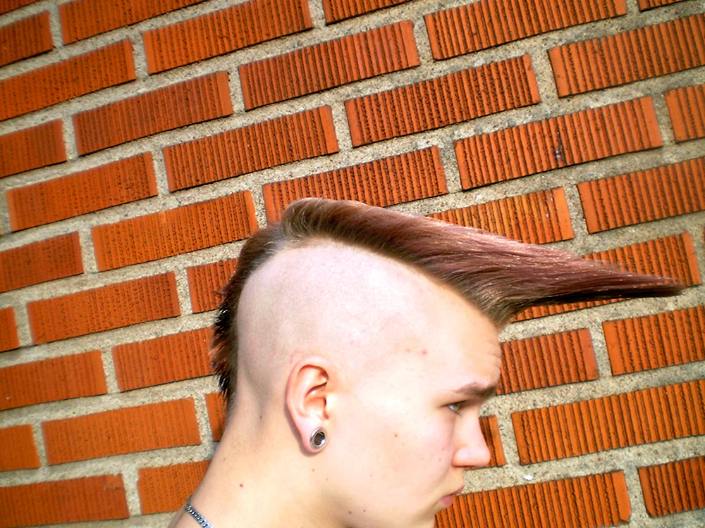 Pompadour Undercut