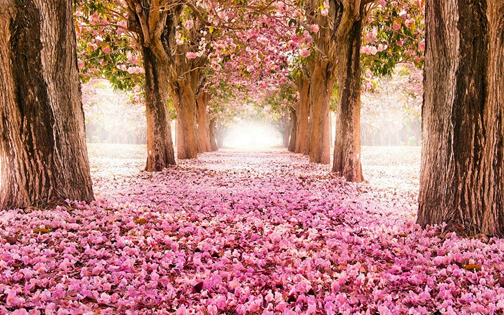 Natur