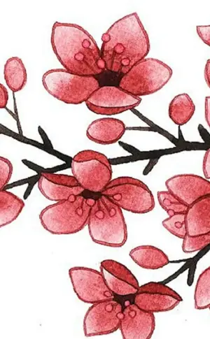 Sakura Kirschblütenbaum