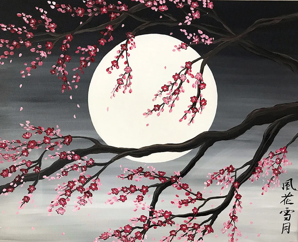 Sakura. Kirschblütenbaum