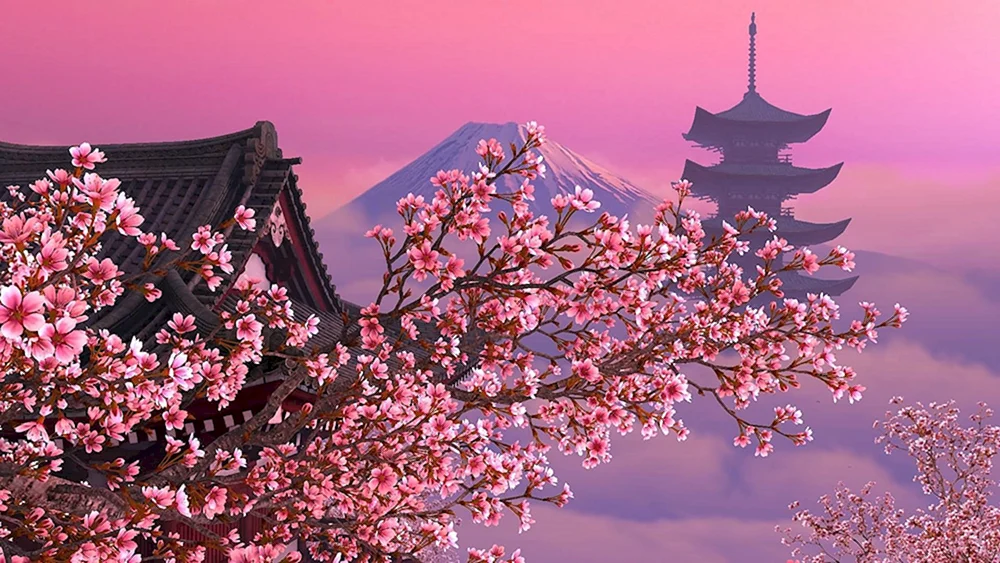 Japan Sakura und Fujiyama