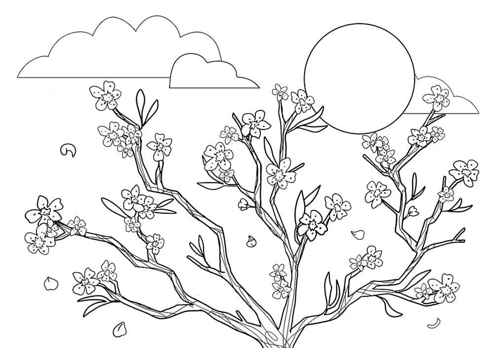 Sakura ausmalen