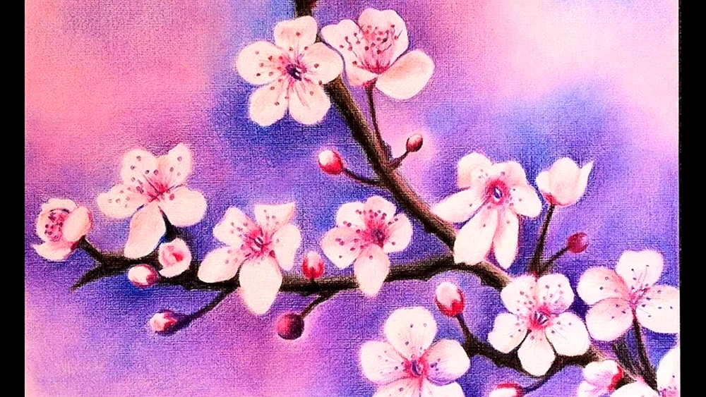 Sakura Zeichnung
