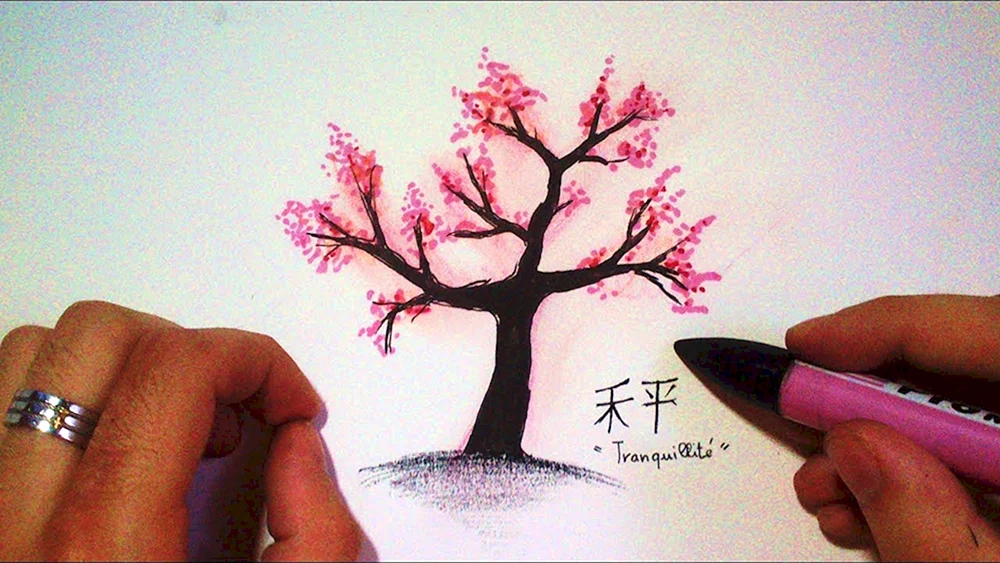 Sakura Zeichnung