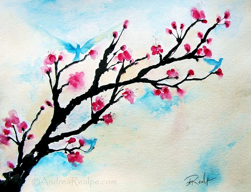 Sakura Zeichnung
