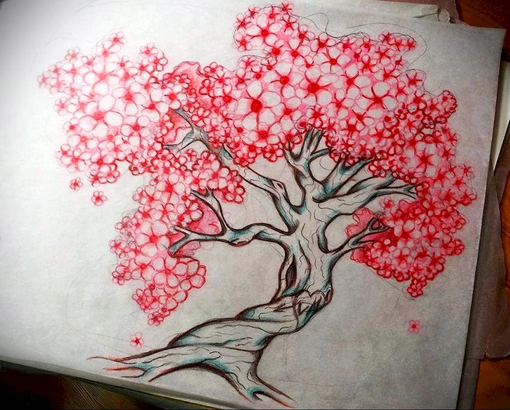 Sakura Zeichnung. Bleistiftzeichnung