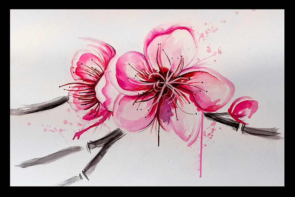 Sakura skizzieren