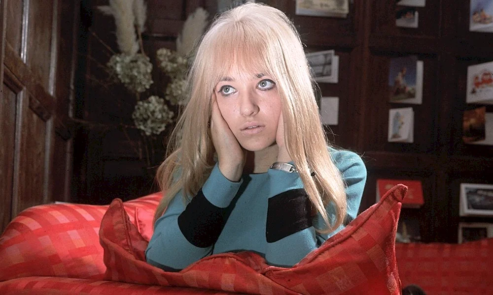 Sally Carr