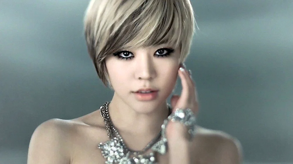 Pixie Bob- Bob Haarschnitt Korea