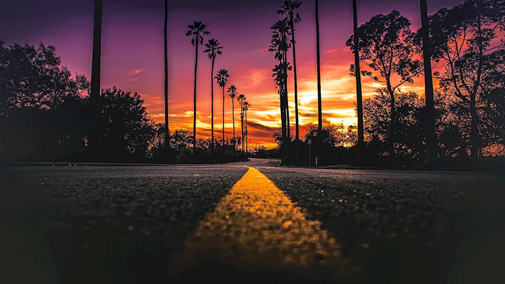 Sunset Road Los Angeles