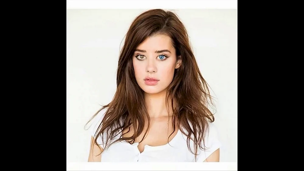 Sarah krotchy