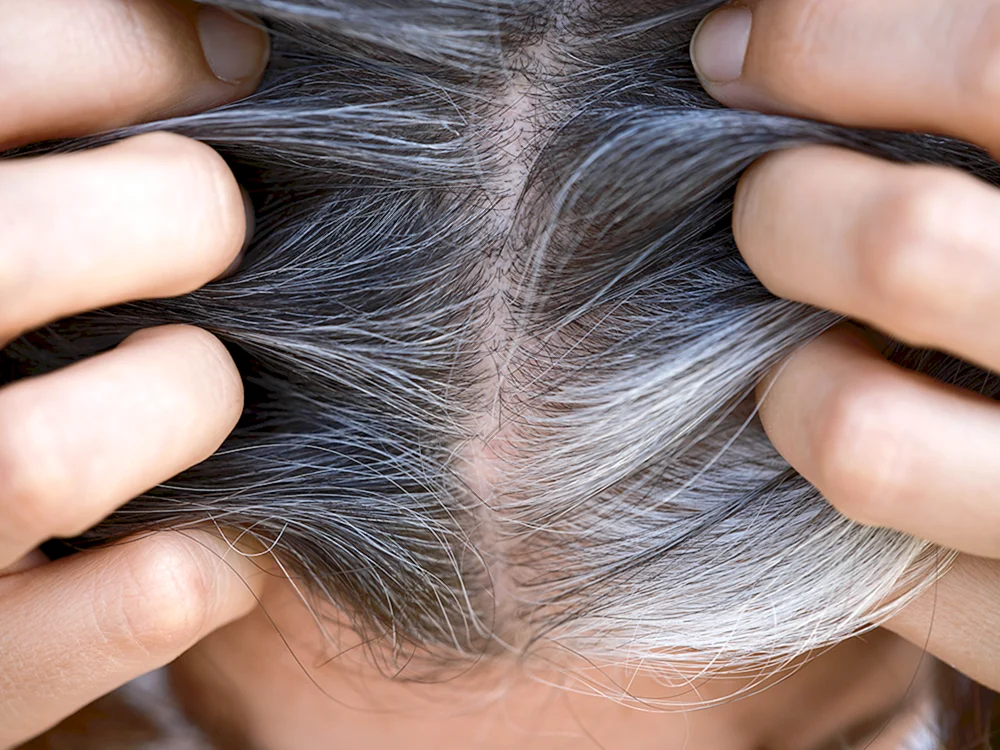 Graue Wurzeln auf dunklem Haar färben