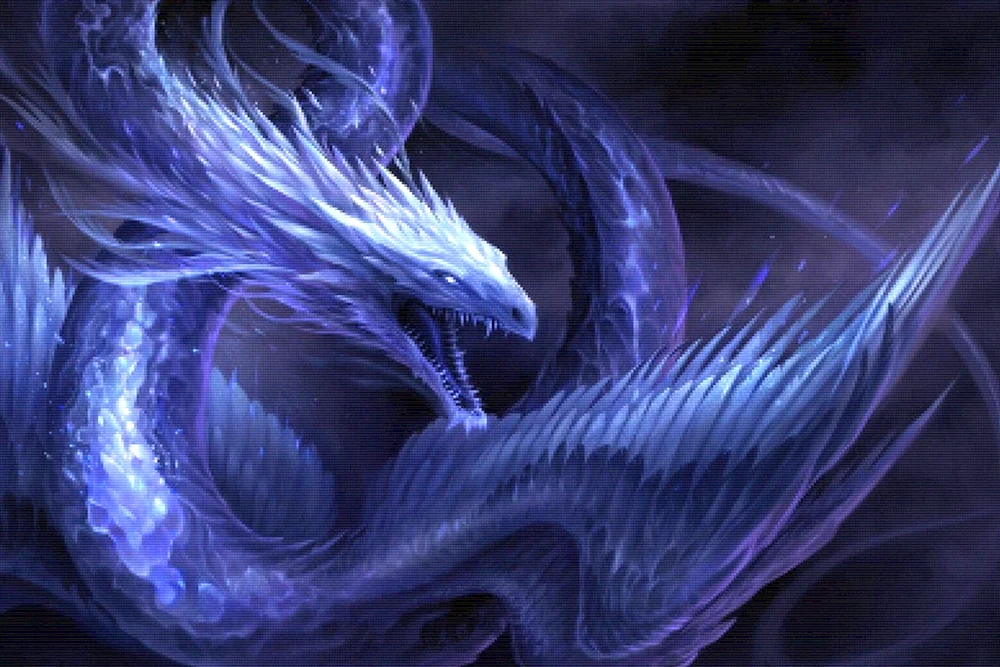 Seiryu Drache